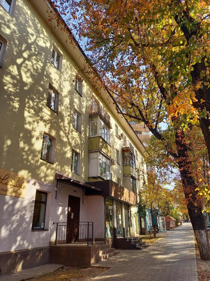 "В Центре Города" Квартира - "Downtown" Apartment アルマトイ エクステリア 写真